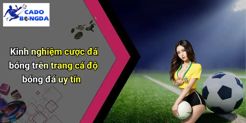 Cá độ bóng đá 71 Cá độ bóng đá