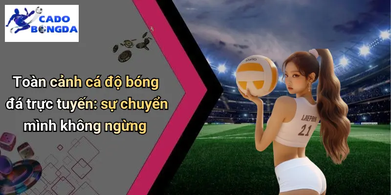 Cá độ bóng đá 67 Cá độ bóng đá