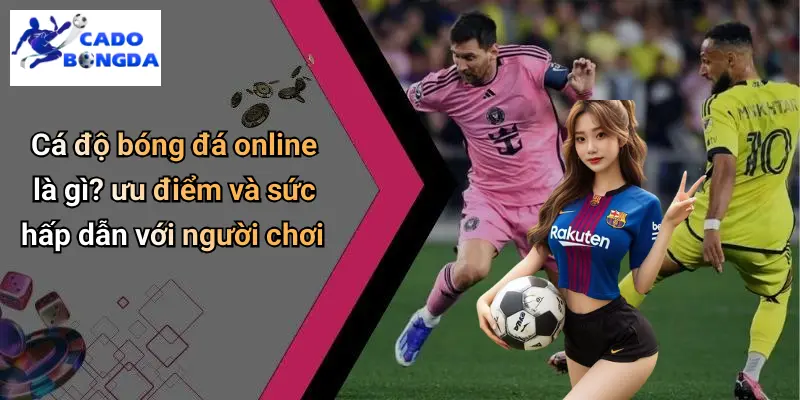 Cá Độ Bóng Đá Online
