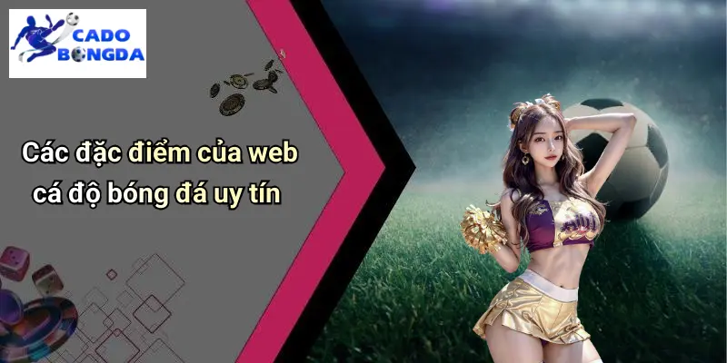 Web Cá Độ Bóng Đá Uy Tín