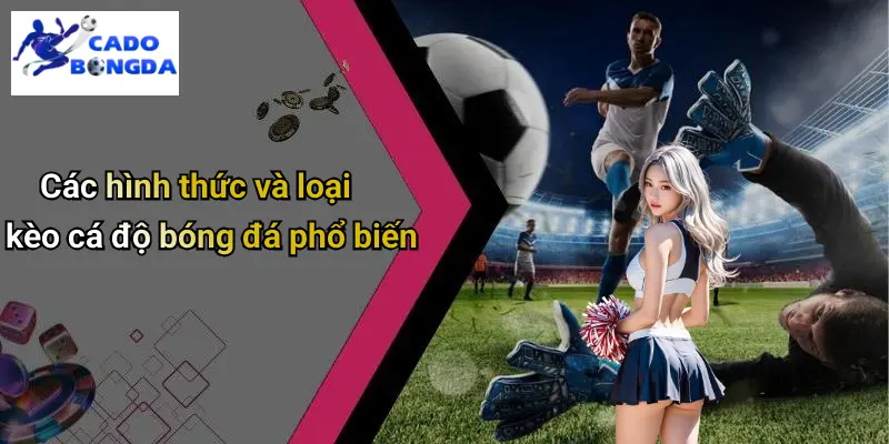 Cá Độ Bóng Đá Online