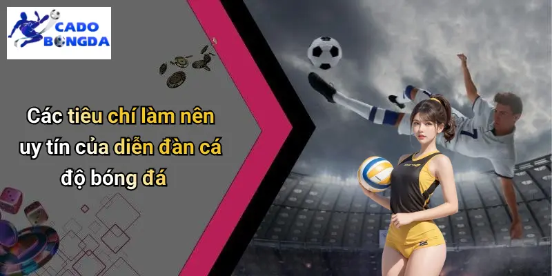 Giới thiệu 4 Giới Thiệu