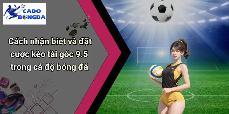 Tài Góc 9.5 Là Gì: Phân Tích Kèo, Kinh Nghiệm Soi Kèo Góc 2 Tài Góc 9.5 Là Gì