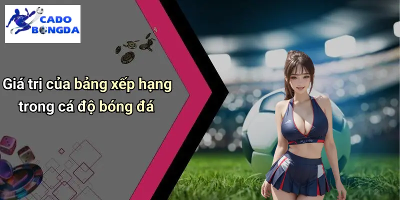 Bảng xếp hạng