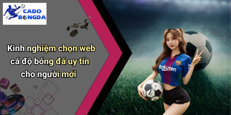Web Cá Độ Bóng Đá Uy Tín