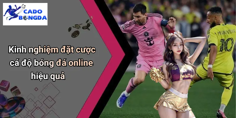 Cá Độ Bóng Đá Online