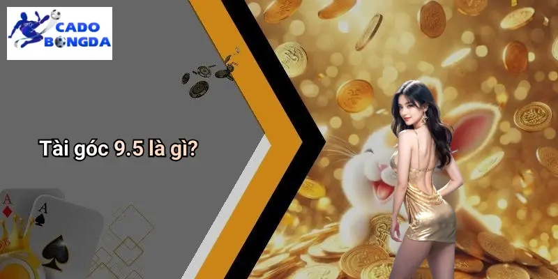 Tài Góc 9.5 Là Gì: Phân Tích Kèo, Kinh Nghiệm Soi Kèo Góc 1 Tài Góc 9.5 Là Gì