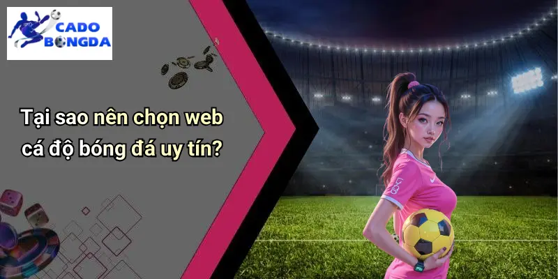 Web Cá Độ Bóng Đá Uy Tín