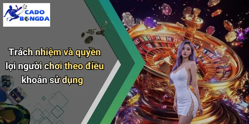 Điều khoản sử dụng 3 Điều Khoản Sử Dụng