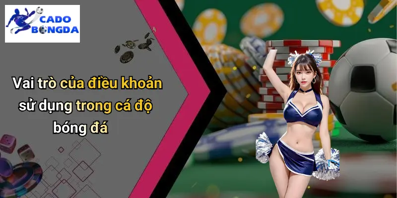 Điều khoản sử dụng 1 Điều Khoản Sử Dụng