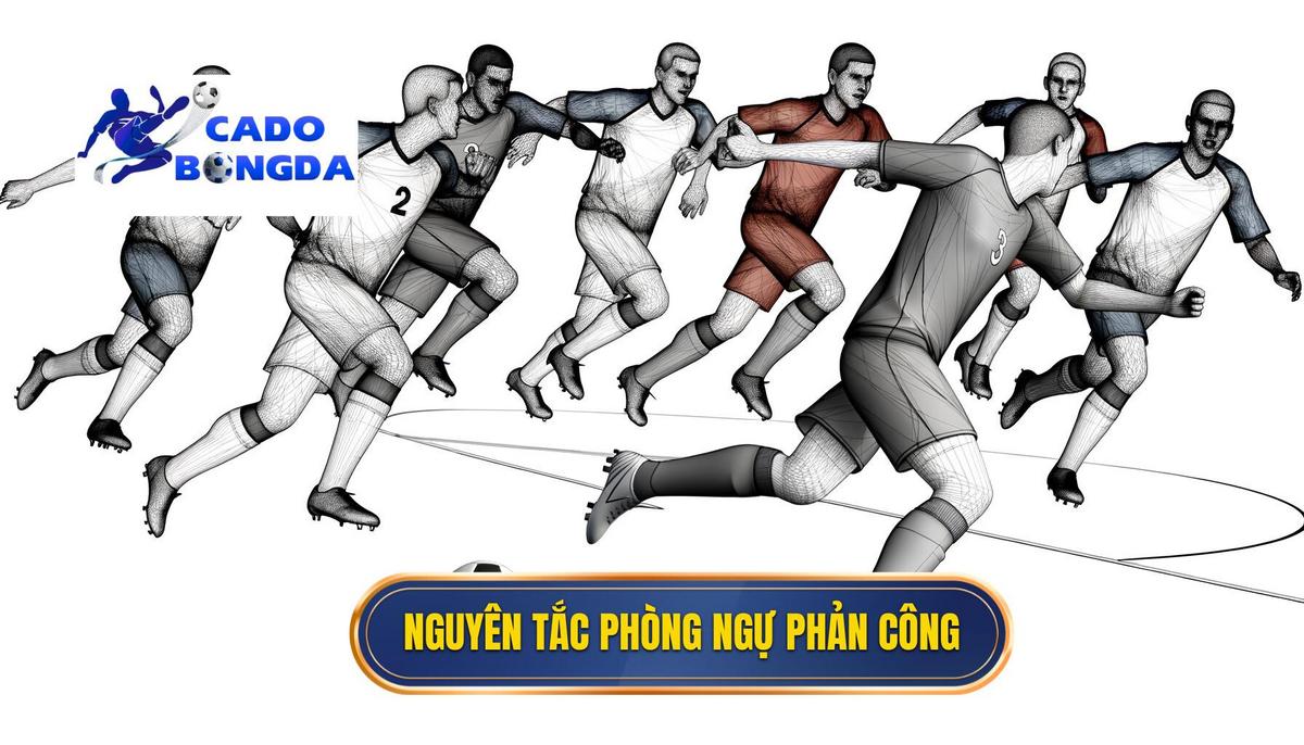 Nguyên tắc cơ bản của chiến thuật phòng ngự phản công