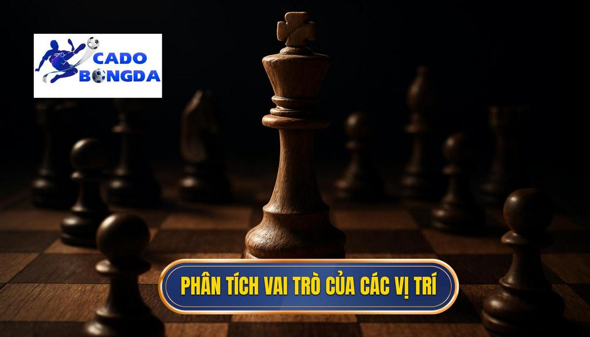 Phân tích Chuyên sâu về Vai trò của các Vị trí
