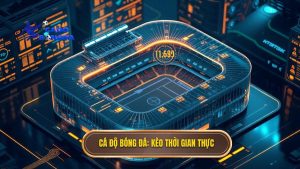 cách đọc kèo bóng đá theo thời gian thực