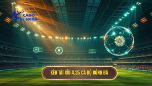kèo tài xỉu 4.25 là gì