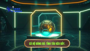 Kèo đẹp đôi khi là cái bẫy: Cảnh giác bẫy nhà cái từ CÁ ĐỘ BÓNG ĐÁ
