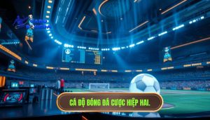 Cá độ bóng đá cược hiệp hai.
